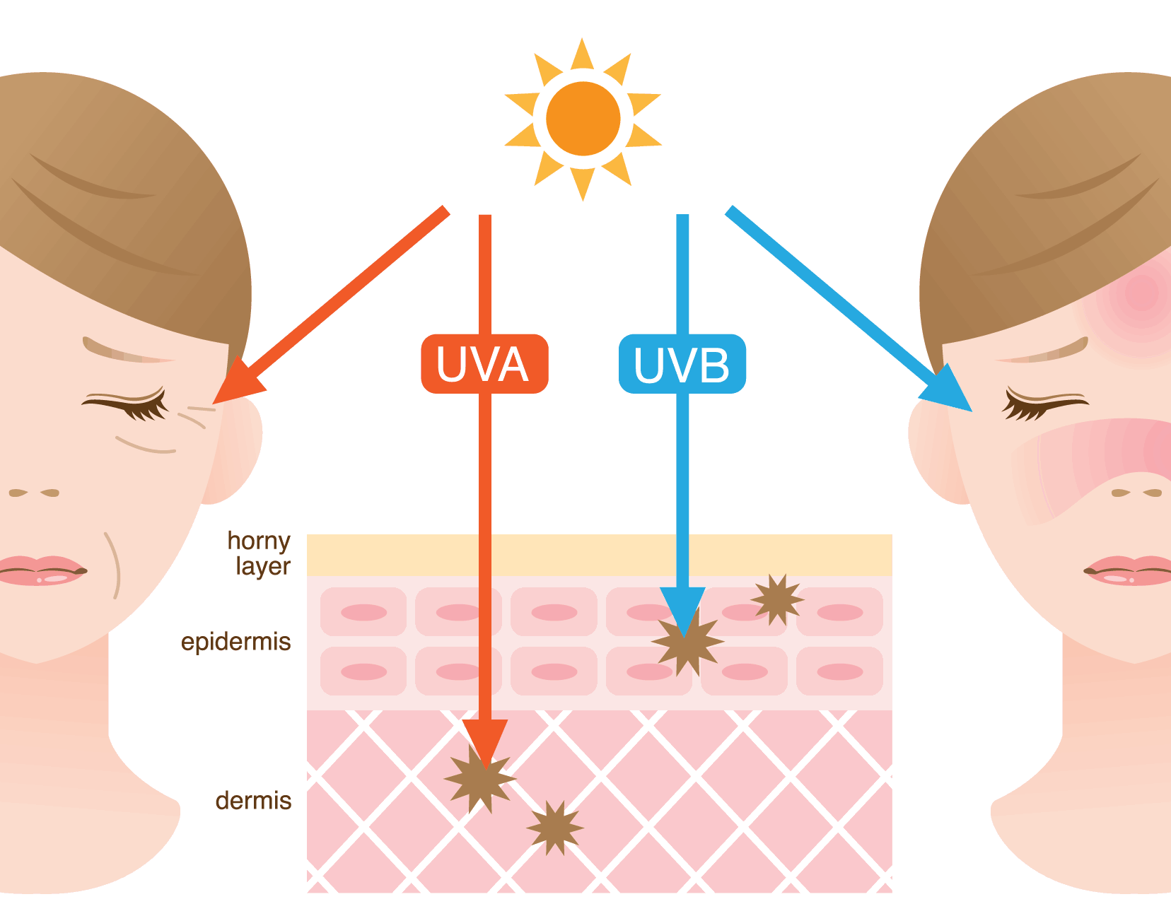 ครีมกันแดด รังสี uva uvb