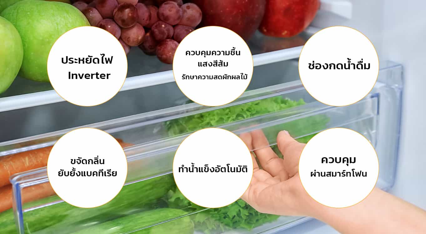 จุดสังเกตในการเลือกซื้อตู้เย็น-เทคโนโลยี-คุณสมบัติ-ฟีเจอร์พิเศษในตู้เย็น