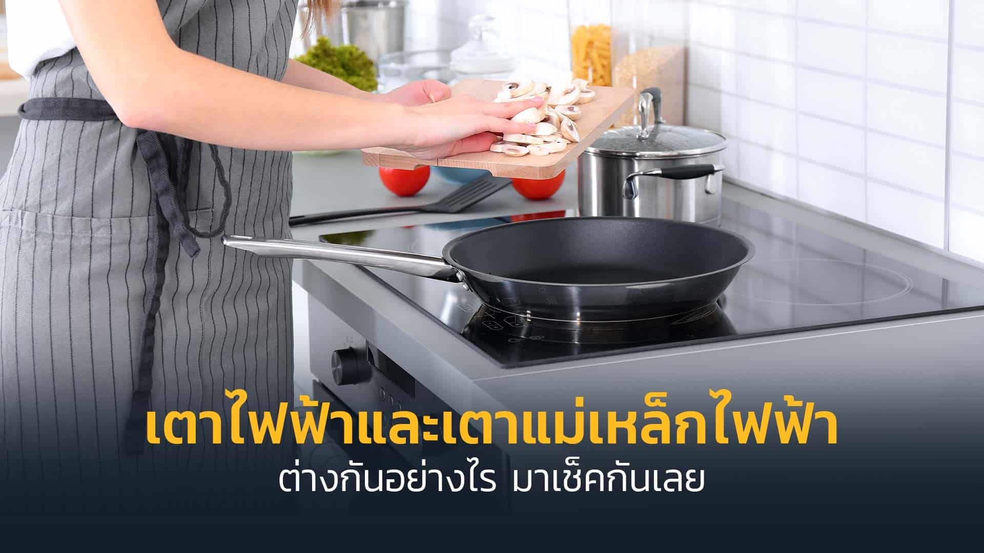 เตาไฟฟ้า-แม่เหล็ก