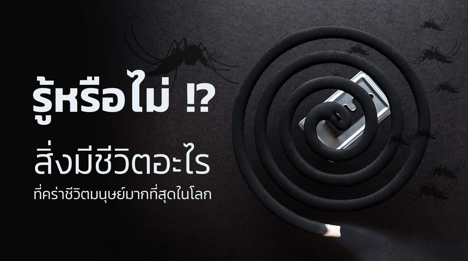 Draft-เรนเจอร์-สเก้าท์_web-cover-1906x1062-1