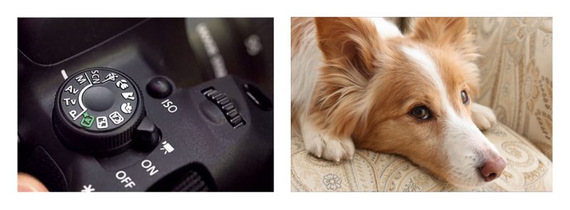 กล้อง Canon EOS 700D ถ่ายภาพ