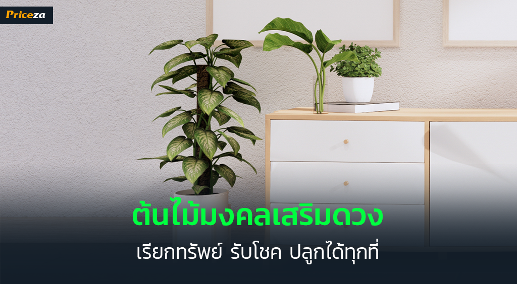 ต้นไม้มงคล