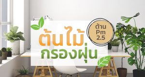 ต้นไม้กรองฝุ่น