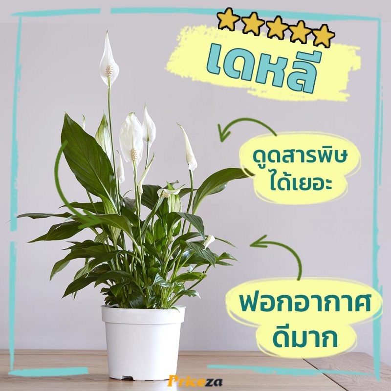 เดหลี