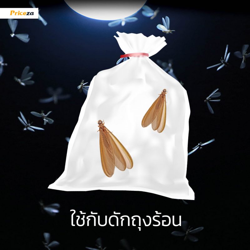 กำจัดแมงเม่า-กับดักถุงร้อน