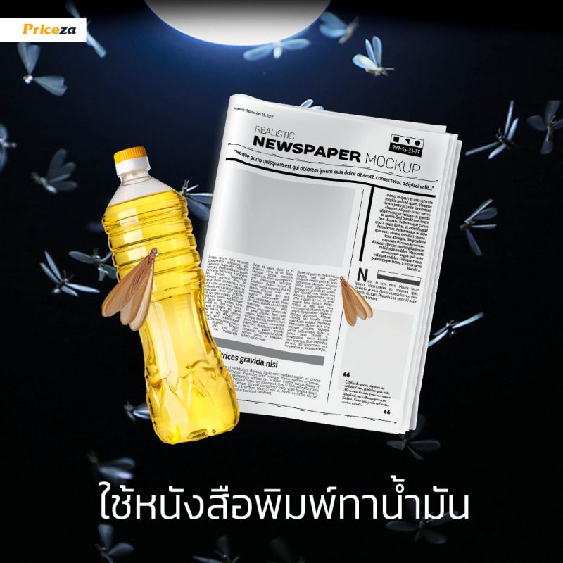กำจัดแมงเม่า-นสพ.