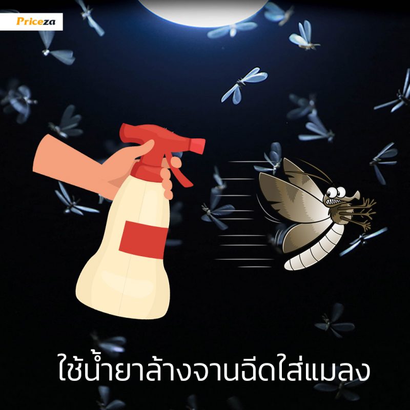 กำจัดแมงเม่า-น้ำยาล้างจาน