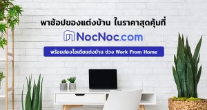 Nocnoc-Banner