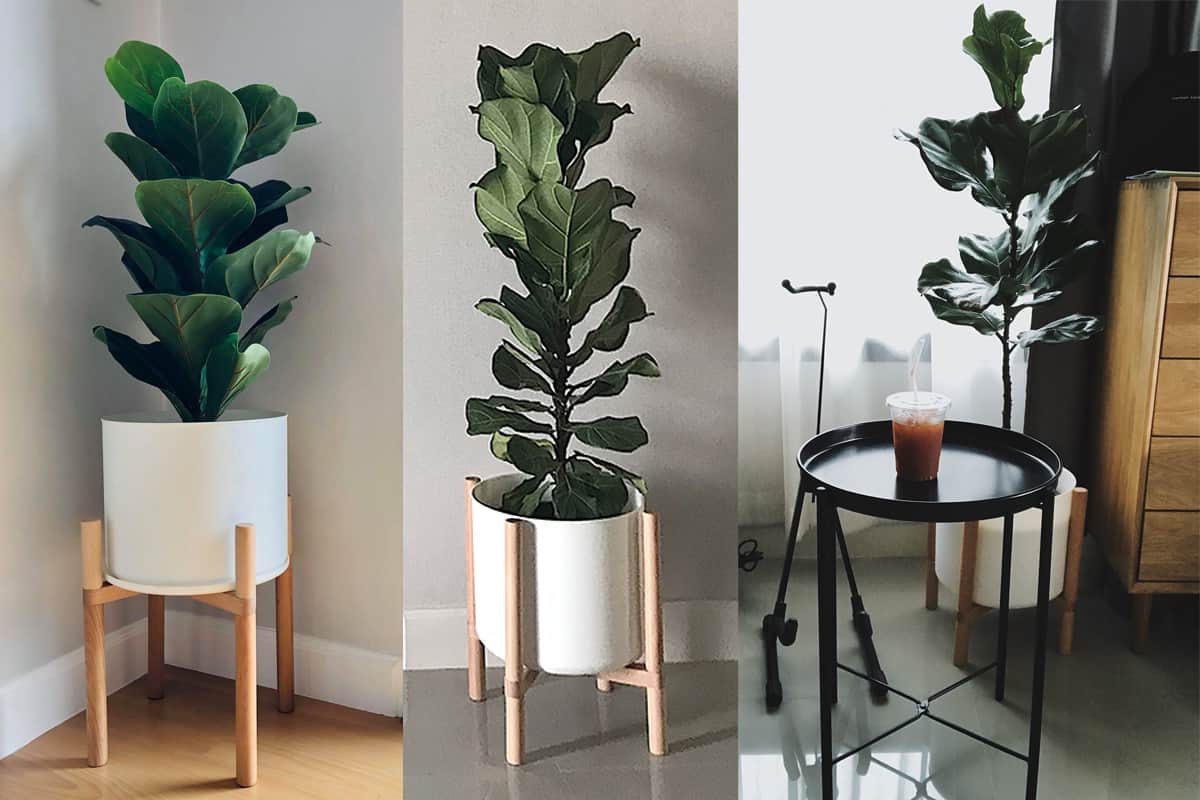 กระถางต้นไม้แบบ Minimal PLANT102