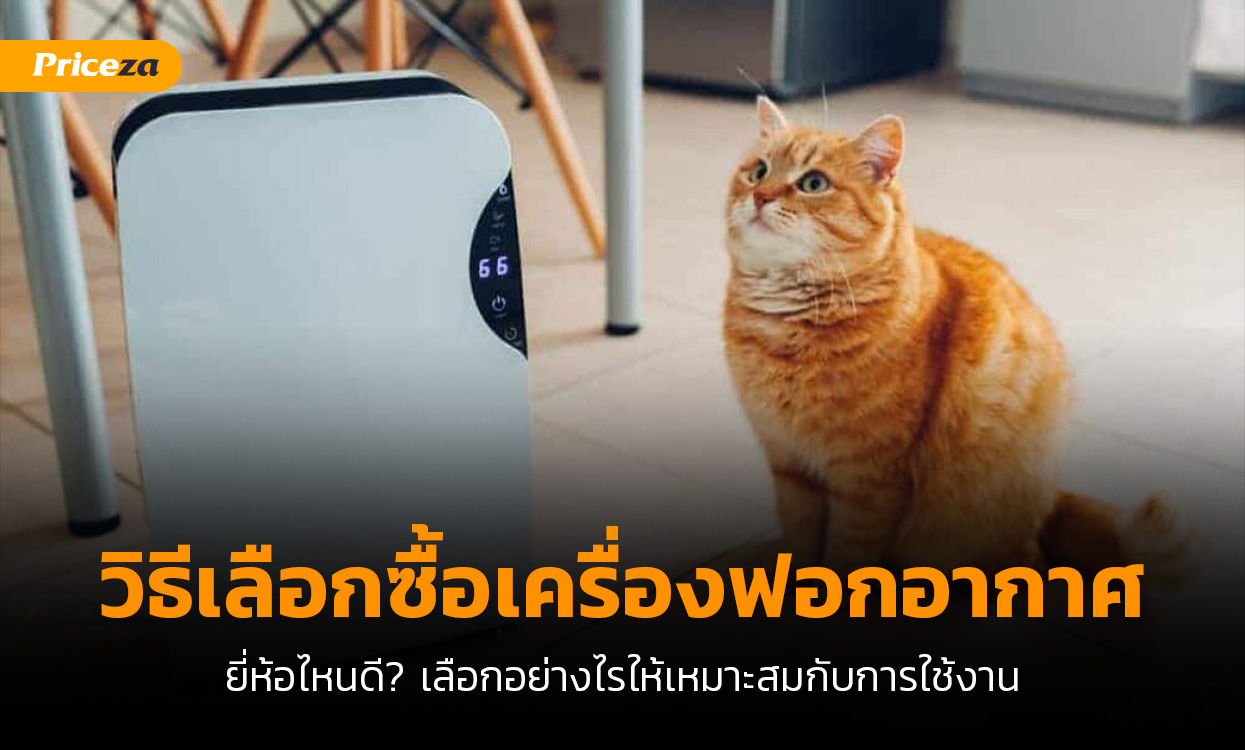 วิธีเลือกซื้อเครื่องฟอกอากาศ