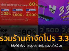 Promotion 3.3