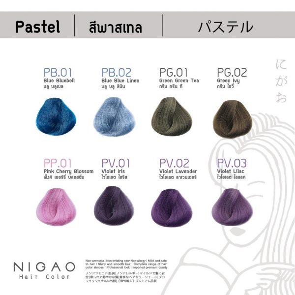 ยาย้อมผมยี่ห้อ NIGAO Hair Color