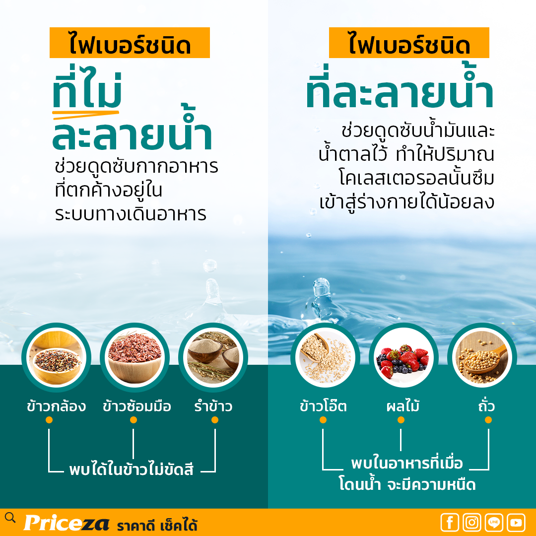 ชนิดของไฟเบอร์