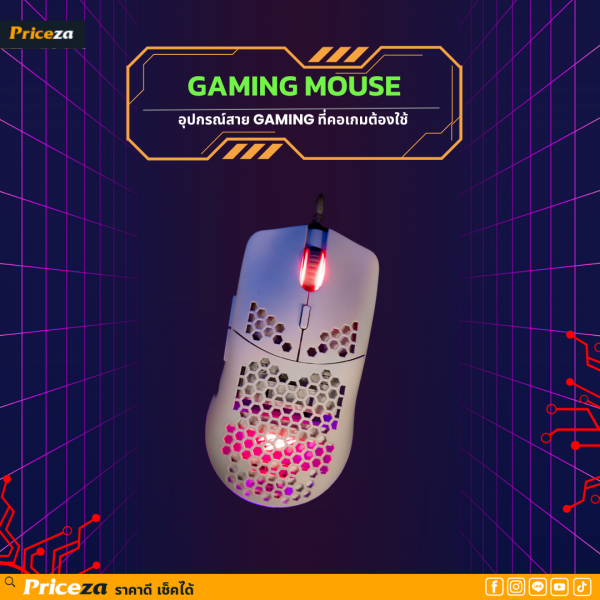 Gaming Mouse (เมาส์เกมมิ่ง)