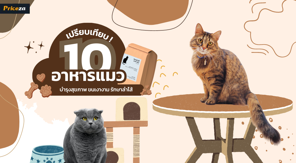 อาหารแมว ยี่ห้อไหนดี